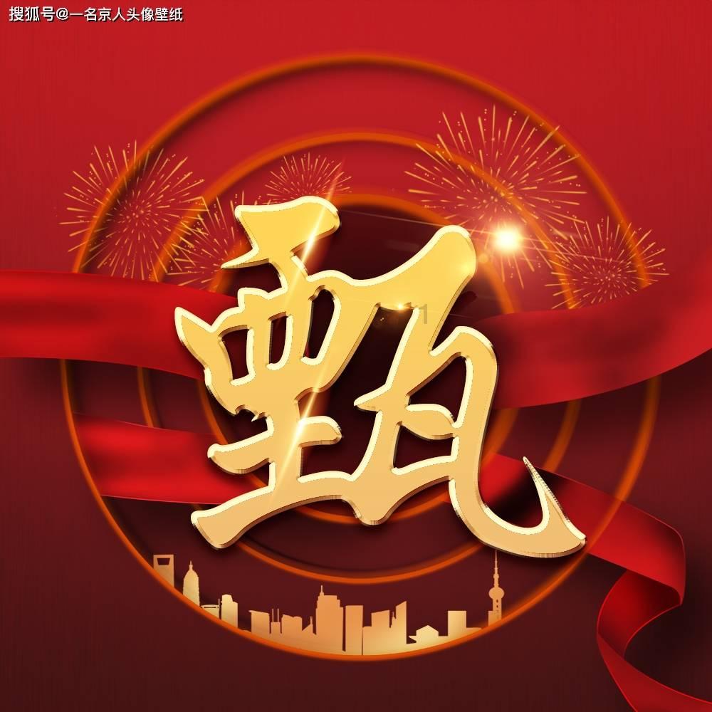 解救金刚鹦鹉