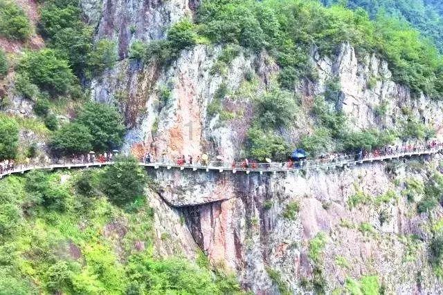 硕大的苹果