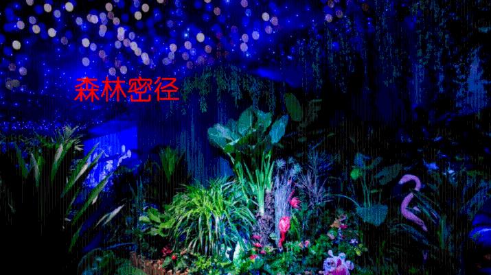 丛林森林逃生